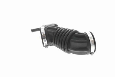 FURTUN ALIMENTARE AER ACKOJA A380593 7