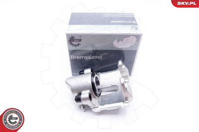 Brake Caliper 23SKV862