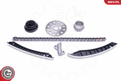 Timing Chain Kit 21SKV193