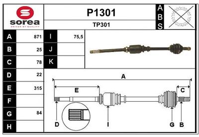 PLANETARA SNRA P1301