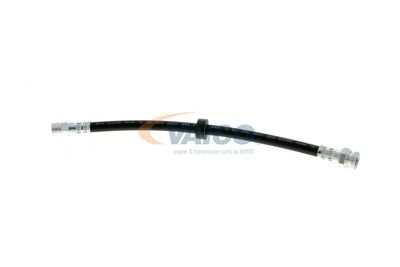 FURTUN FRANA VAICO V104191 13