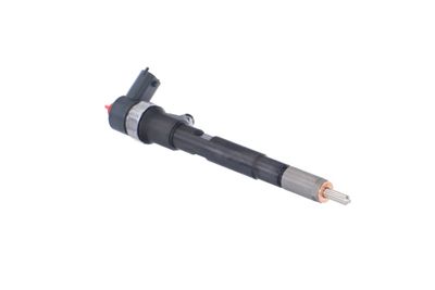 INJECTOR REMANTE 002003000145R 48
