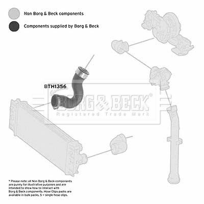 Charge Air Hose Borg & Beck BTH1356