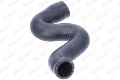 FURTUN EAR SUPRAALIMENTARE BIRTH 55710 10