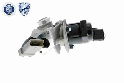 AGR-VENTIL VEMO V25630009 7