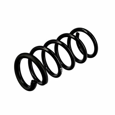 ARC SPIRAL EIBACH R10661 4