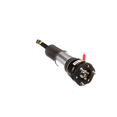 LUFTFEDERBEIN Arnott AS2856 44