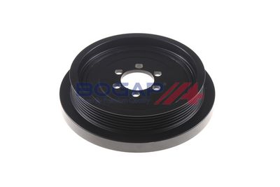 FULIE CUREA ARBORE COTIT BOGAP B1213101 5