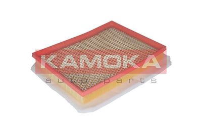 Air Filter F206701