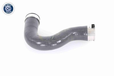 FURTUN EAR SUPRAALIMENTARE VAICO V301799 8