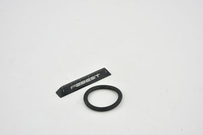 GARNITURA FLANSA LICHID RACIRE FEBEST TTTRAFII 22