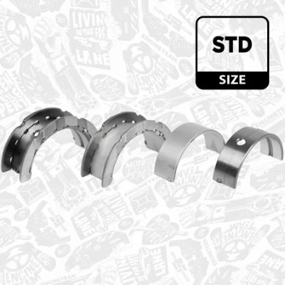 SET RULEMT ARBORE COTIT ET ENGINETEAM LH003800 1