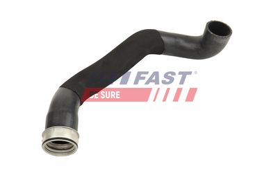 FURTUN EAR SUPRAALIMENTARE