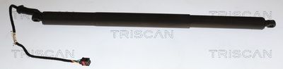 AMORTIZOR PORTBAGAJ TRISCAN 871029337