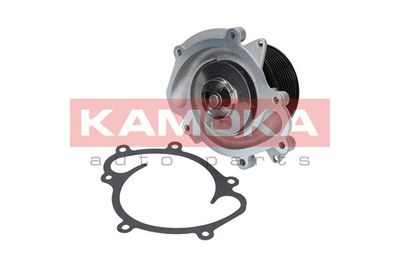 Water Pump, engine cooling T0191