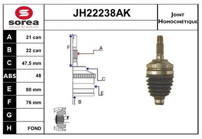 SET ARTICULATIE PLANETARA SNRA JH22238AK