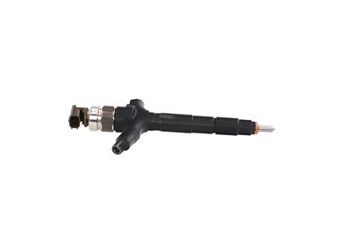 INJECTOR REMANTE 002003001986R 46