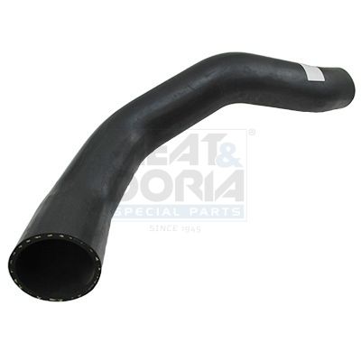 FURTUN EAR SUPRAALIMENTARE