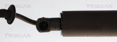 Dujinė spyruoklė, bagažinė TRISCAN 8710 28308