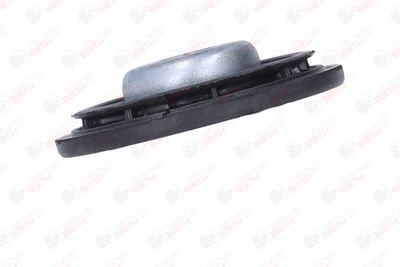 SAIBA ARC BIRTH 56186 6