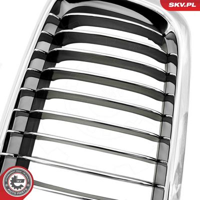 GRILA RADIATOR ESEN SKV 66SKV215 6