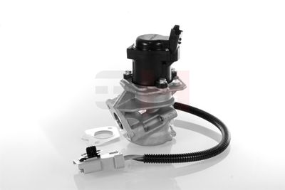 SUPAPA EGR GH GH732566 43