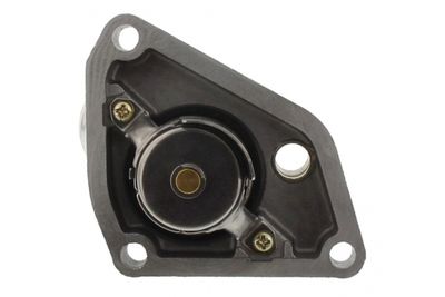 TERMOSTAT LICHID RACIRE MAPCO 28718 2