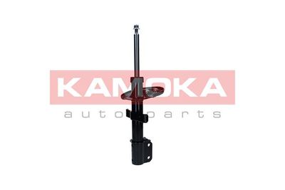 Shock Absorber 2001180