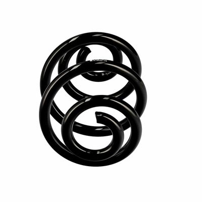 ARC SPIRAL EIBACH R10030 1