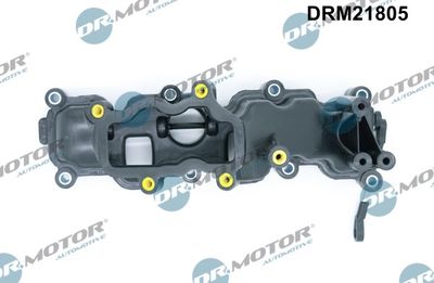 Intake Manifold Module DRM21805