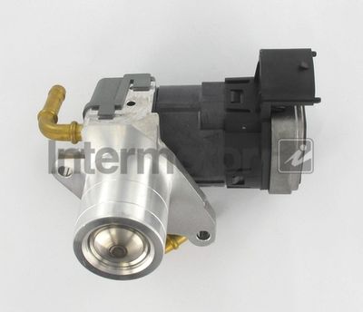 EGR Valve Intermotor 14951