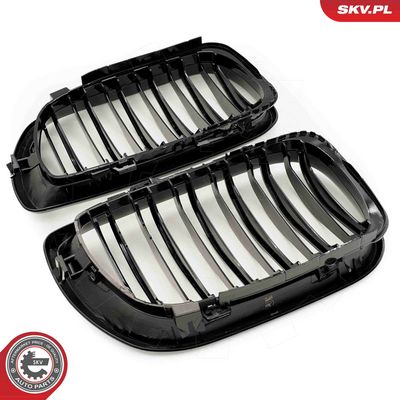 GRILA RADIATOR ESEN SKV 66SKV081 3