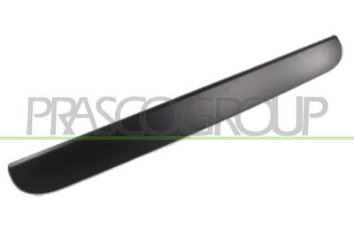 Дръжка външна врата PRASCO DG0058347