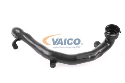 FURTUN EAR SUPRAALIMENTARE VAICO V106496 9