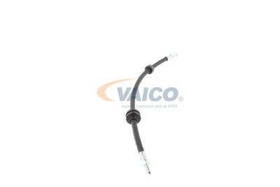 FURTUN FRANA VAICO V240328 39