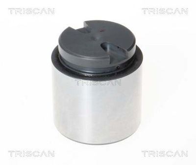 TRISCAN 8170 234867 Комплектуючі гальмівного супорта для MAN (Ман)