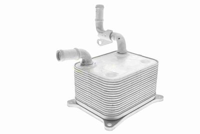 RADIATOR ULEI ULEI MOTOR VEMO V15600013 4