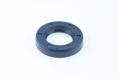 Dichtring