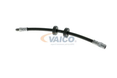 FURTUN FRANA VAICO V101043 14