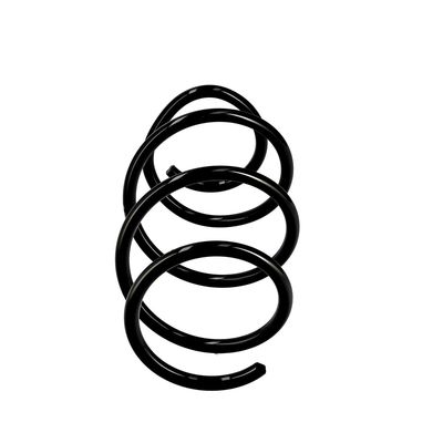 ARC SPIRAL EIBACH R10127 13
