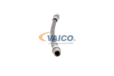 FURTUN FRANA VAICO V220616 38