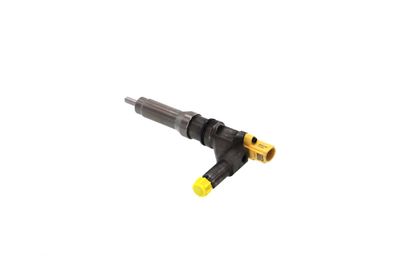 INJECTOR REMANTE 002003001646R 18