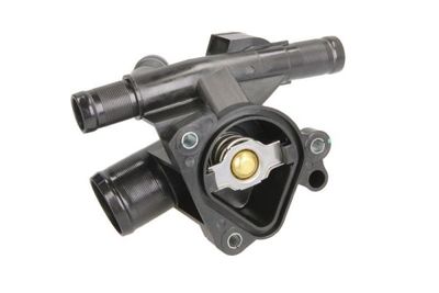 Thermostat, coolant D2R017TT