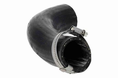 FURTUN EAR SUPRAALIMENTARE ACKOJA A520873 5