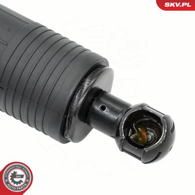Elektromotor, zadné dvere SKV 52SKV989