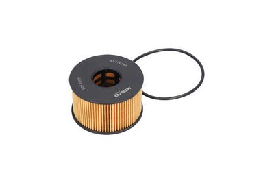 FILTRU ULEI AMC Filter FOF10171 13