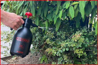 Vorschau Pumpsprühflasche Ansicht 8
