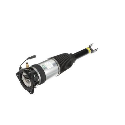 LUFTFEDERBEIN Arnott AS2969 49