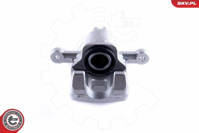 Brake Caliper 55SKV084