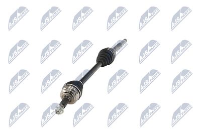 PLANETARA NTY NPWPE017 18